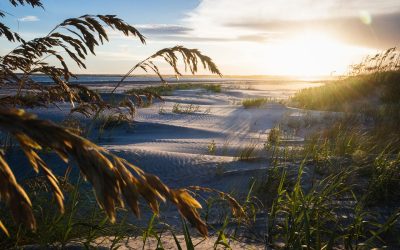 NC Coastal Land Trust Secures Funds