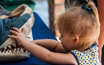 2025 Wilmington Earth Day Festival