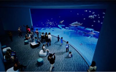 NC Aquarium at Fort Fisher Expansion